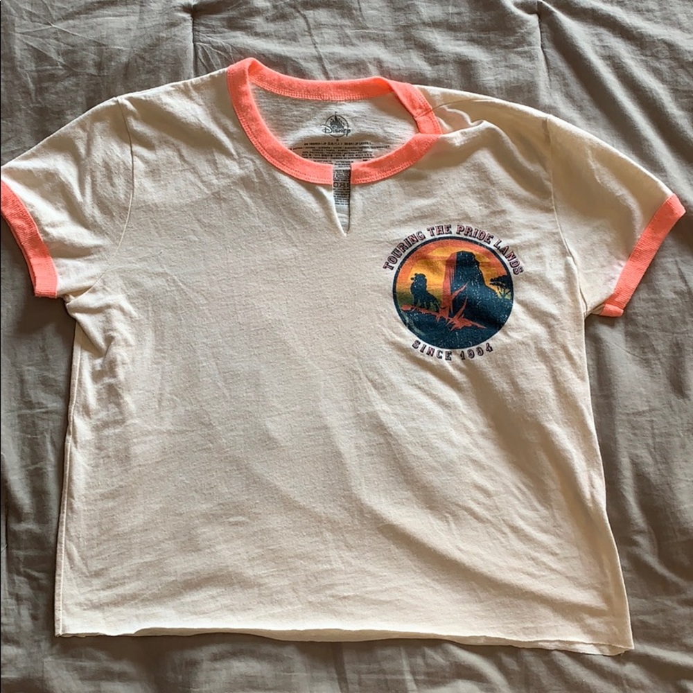 Disney crop top